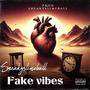 Fake Vibes (Explicit)