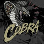 Biggest cobra (Explicit)