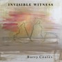 Invisible Witness