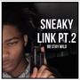 SNEAKY LINK PT.2 (Explicit)