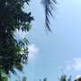 Lintang