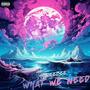 What We Need (Explicit)