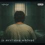 Is Anything Wrong? (Explicit)