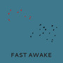 Fast Awake