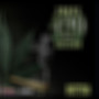 Smoke section (Explicit)