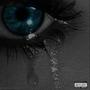 NEVER MET (DXMO) [Explicit]