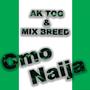 Omo Naija (feat. Mix Breed)