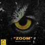 Zoom (feat. Alibi)