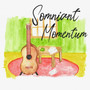 Somniant Momentum