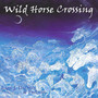 Wild Pony Lullaby