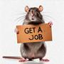 Get A Job