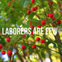 Laborers Are Few