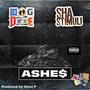 ASHE$ (feat. Sha Stimuli) [Explicit]