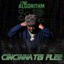 The Algorithm (Explicit)