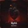 Nahh (feat. Nano) [Explicit]