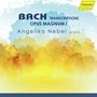 Bach: Transcriptions – Opus Magnum I