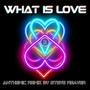 What Is Love (Steve Reaver Remix Anthemic)