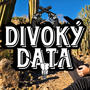 Divoký data (Acoustic)