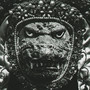 Only godzilla can judge me