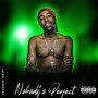 Nobody’s Perfect (Explicit)