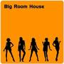 Big Room House