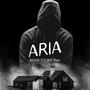 Aria (feat. BIMA STUNT)