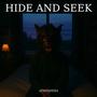 Hide and Seek
