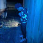 5 percent (Explicit)