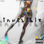 Mr Invisible (Explicit)