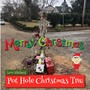 Pot Hole Christmas Tree