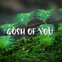 Gosh of you (Remix)