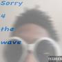 Sorry 4 The Wave (Explicit)