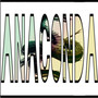 Anaconda