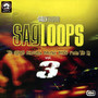 Sagloops Volume 3 - The Ultimate Bhangra Break Beats For The DJ