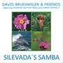 Silevada's Samba (feat. Rodrigo Botter Maio & Simon Wyrsch)