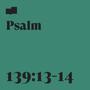 Psalm 139:13-14 (feat. A Boy and His Kite)