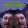 GARTNE VERSCHÖNERNE