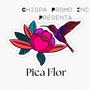 Pica Flor