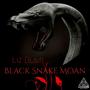 Black Snake Moan