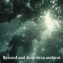 Relaxed and deep sleep ambient