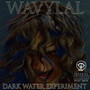 Dark Water Experiment (Explicit)