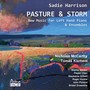 Pasture & Storm