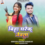 BIHA GHAREK NEWTA (Khortha Song)