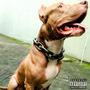 Dog mode (YFG Fatso in and out remix) [Explicit]