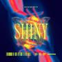 Shiny (Explicit)