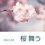 桜 舞う