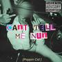 Can't Tell Me Nun (Explicit)