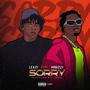 SORRY (feat. Habizzy) [Explicit]