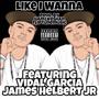 Like I Wanna (Explicit)