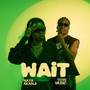 Wait (Explicit)